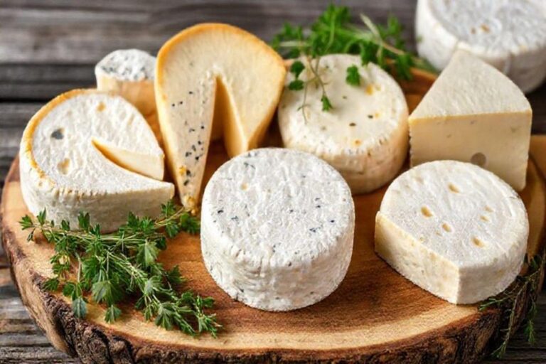 Vários queijos caseiros dispostos em uma tábua rústica